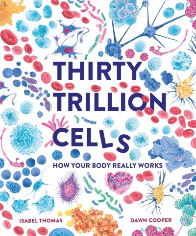 Thirty trillion cells