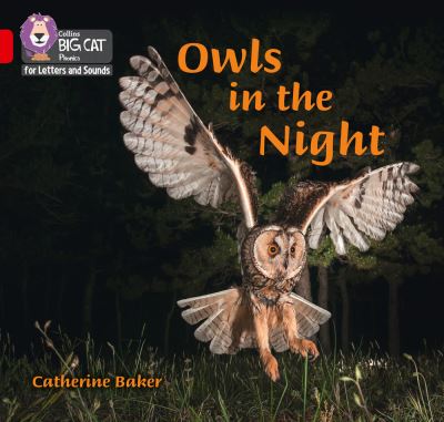 Owls in the night Owls in the night