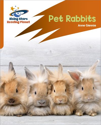 Pet Rabbits Pet Rabbits