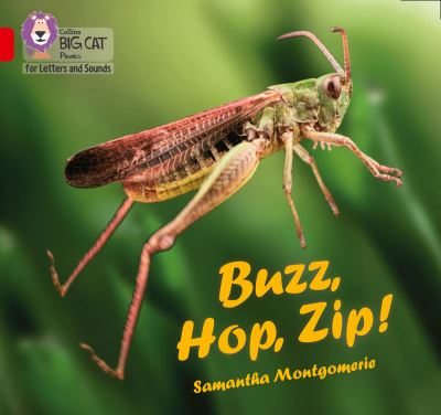 Buzz, hop, zip! Buzz, hop, zip!