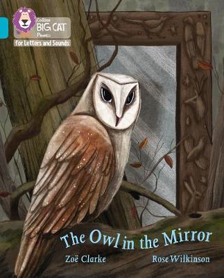 The Owl in the Mirror The Owl in the Mirror