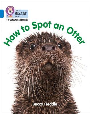 How to spot an otter How to spot an otter