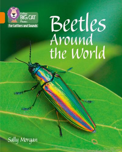 Beetles around the world Beetles around the world