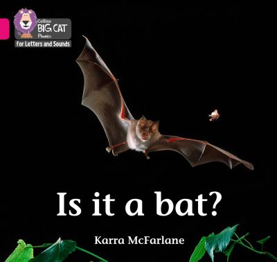 Is it a bat? Is it a bat?