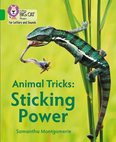 Animal tricks Animal tricks