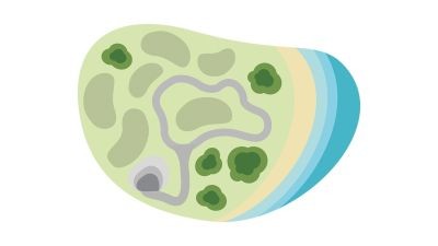 Rugs for primary school libraries | Library interior design