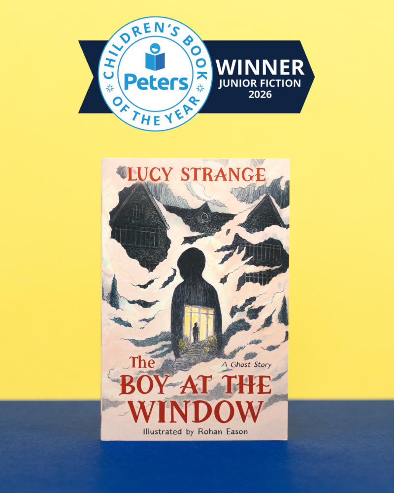 The Boy at the Window by Lucy Strange