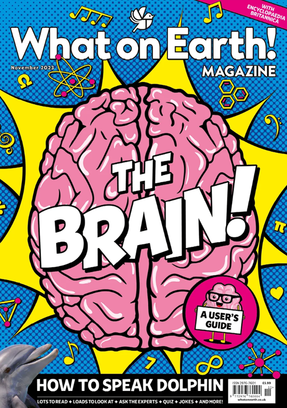 What on Earth! November 2023