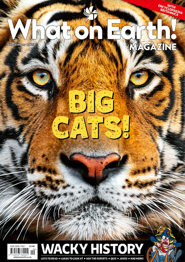 What on Earth! September 2023