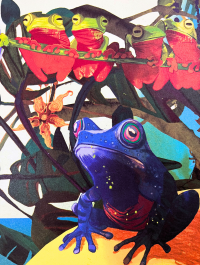 Frog Credit Daniel Egneus